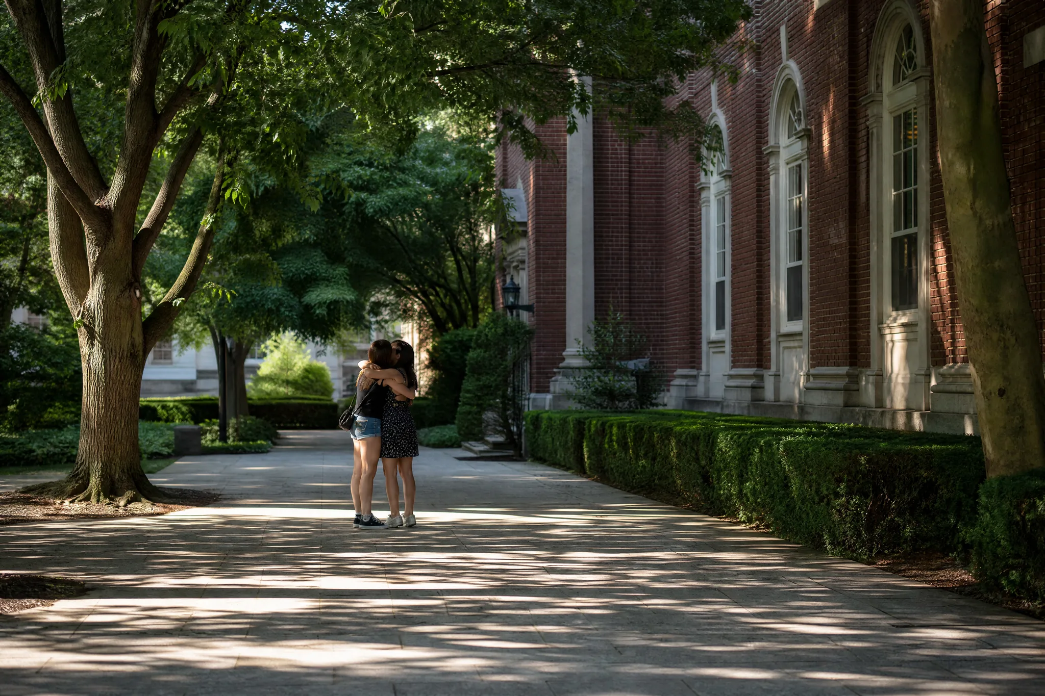AI Hug Video Generator: The Sunny Walkway Wide view of a shady tree-lined walkway by a red-brick building with arched windows, two friends hugging in the distance